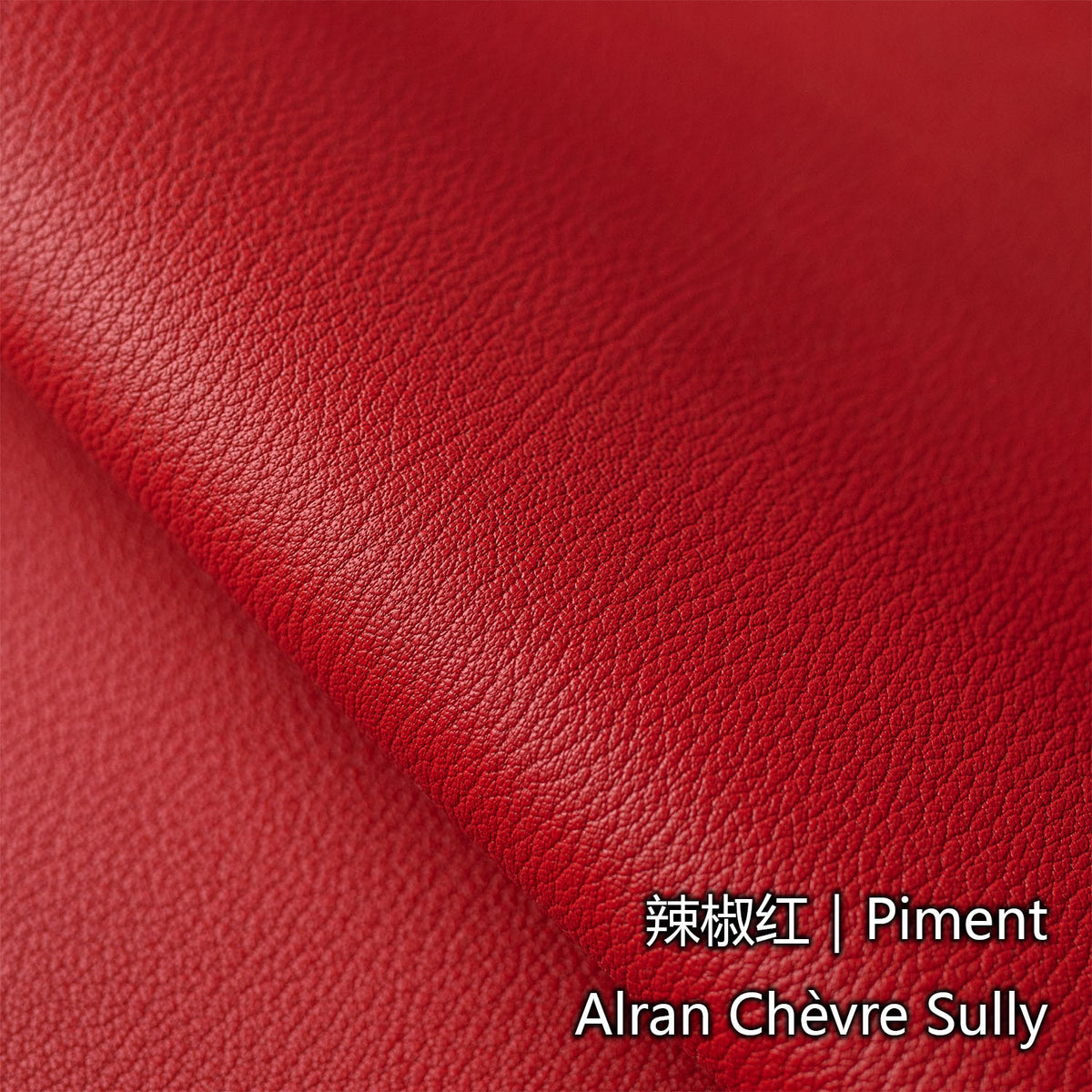 Custom Long Wallet in Alligator Leather