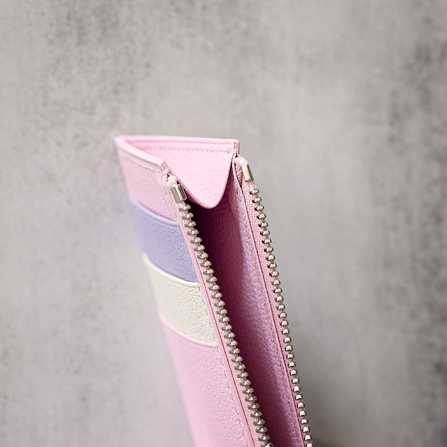 Card Holder with Zipper